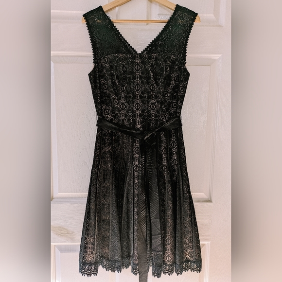 Anthropologie Maeve Zane Lace Dress Size 6 - Picture 3 of 7